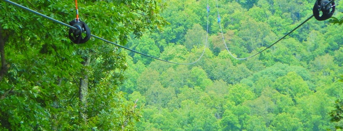 Navitat Canopy Adventures is one of Guide to Asheville's Best Spots.