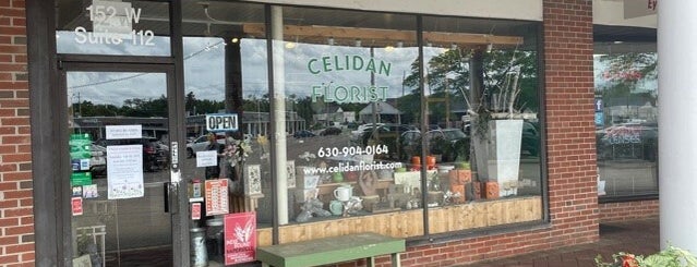 Celidan Creations, Inc. is one of สถานที่ที่ Brady ถูกใจ.