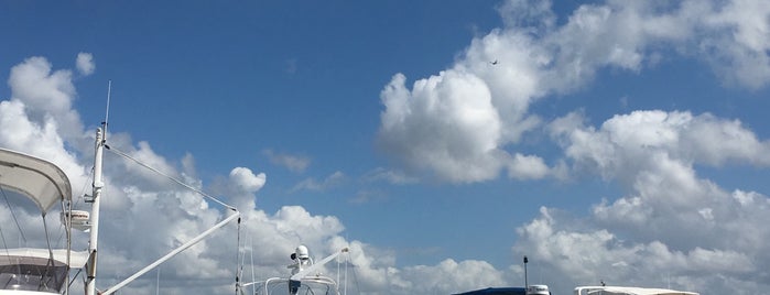 Snook Bight Marina is one of Island Bars.