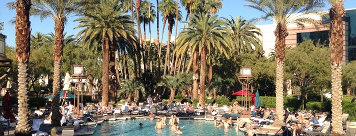 MGM Grand Pool Complex is one of The 11 Best Places with BYOB in Las Vegas.