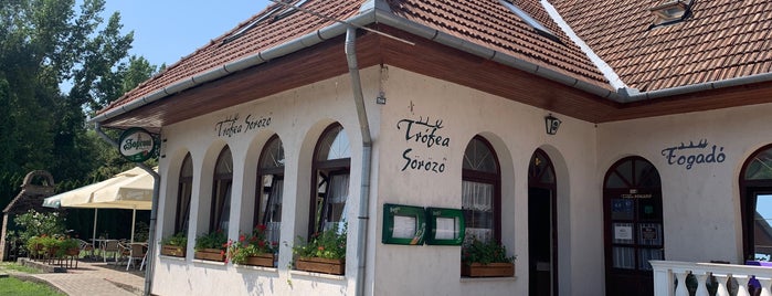 Trófea söröző is one of Ungarn.