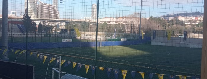 Fenerbahçe SK Fikirtepe Tesisleri is one of Stadiums.