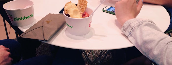 Pinkberry is one of Пускают с собачками.
