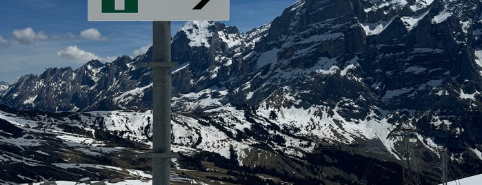 First Flyer is one of Grindelwald.