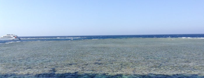 Abu Dabbab Dive Site is one of Petrさんのお気に入りスポット.