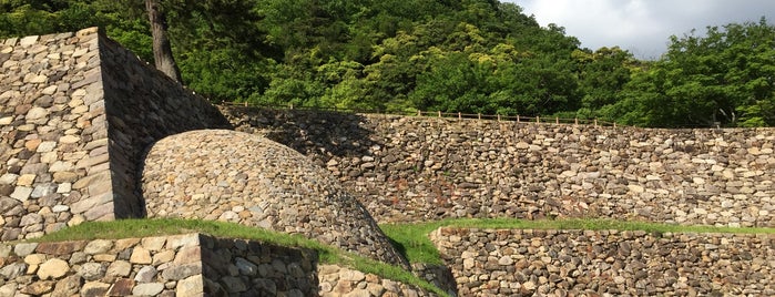 鳥取城址 is one of 日本の100名城.