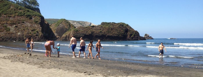 Playa de Munielles is one of Playas del Principado de Asturias.