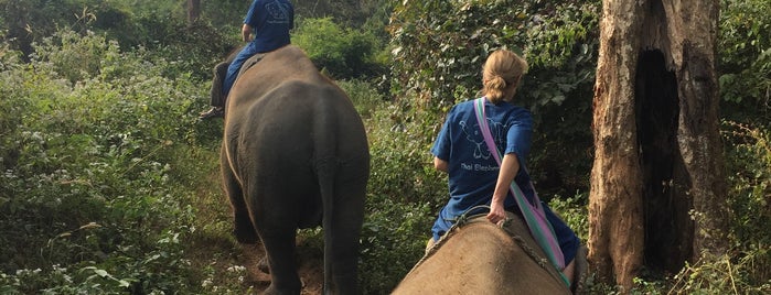 Thai Elephant Home is one of sonhando com a lua de mel.