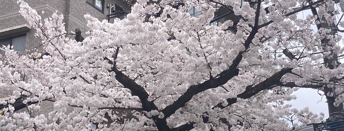 Araiyakushi Park is one of 中野区.