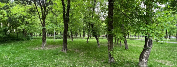 Parcul Bazilescu is one of Parks.