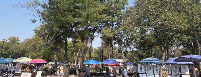 Plaza San Jacinto is one of CDMX.