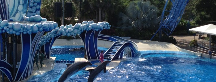 SeaWorld Orlando is one of Someday I will be here..