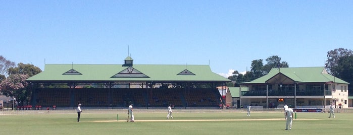 Memorial Oval is one of Cricket Venues Worldwide.