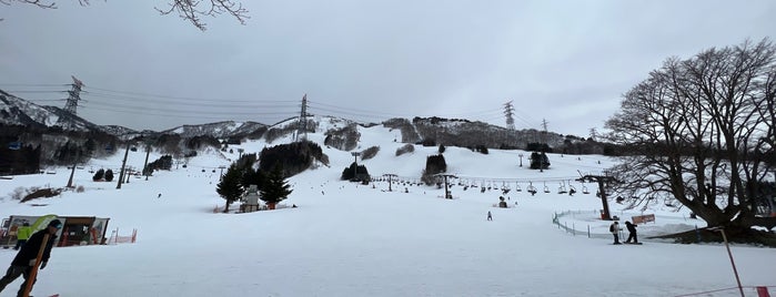 苗場スキー場 is one of 滑ったところ.