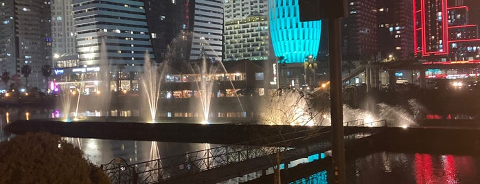 Dancing Fountains | მოცეკვავე შადრევანი is one of Georgia.