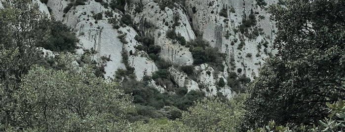 Parc Naturel Régional des Alpilles is one of Provence.