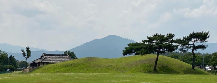 천마총돌담길 is one of 경주.