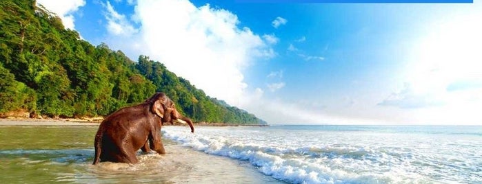 Elephant Beach is one of India, Sri Lanka, Pakistan, Bangladesh & Maldives.