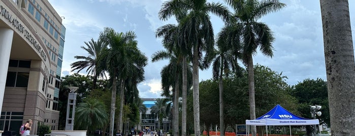 Alvin Sherman Library is one of Locais curtidos por Graeme.