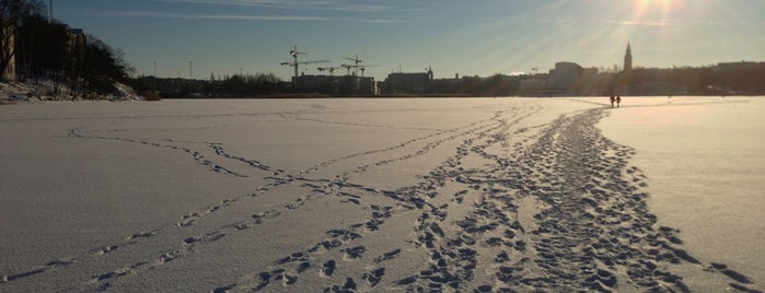 Töölönlahti / Tölöviken is one of Winter activities for travellers in Helsinki.