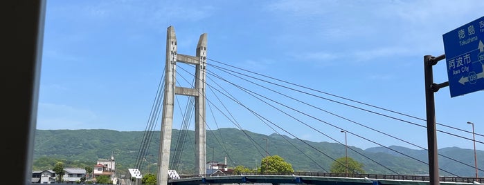 岩津橋 is one of 吉野川に架かる橋.