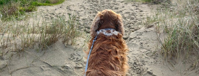 Duinen Middelkerke is one of Healthy Stuff.