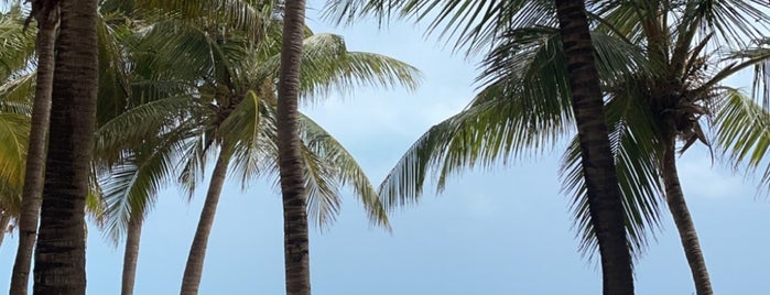 Barceló Costa Cancún is one of Hotels for Party People.