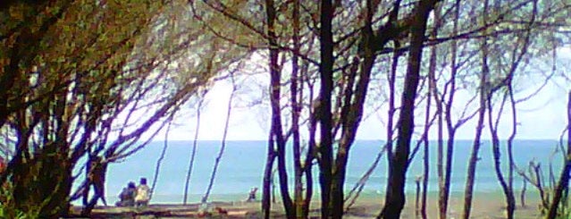Pantai Baru is one of Jogja.