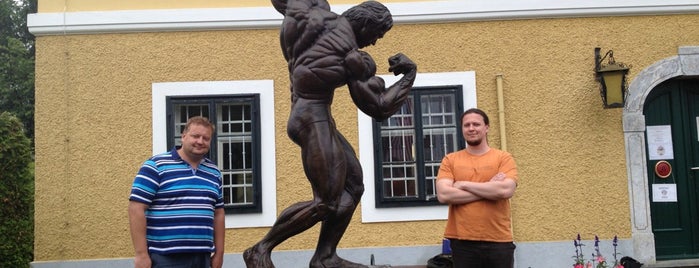 Arnold Schwarzenegger Museum is one of Graz.