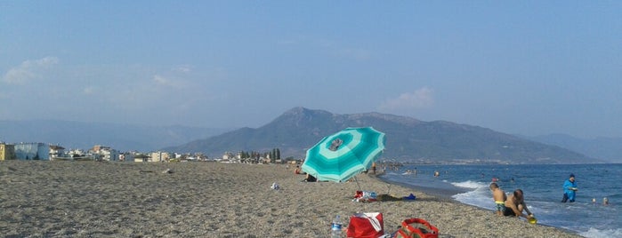 Cerenler Beach is one of Tempat yang Disukai Özgür.