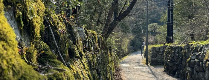 Nikko National Park is one of Nikko (Japan 2019).