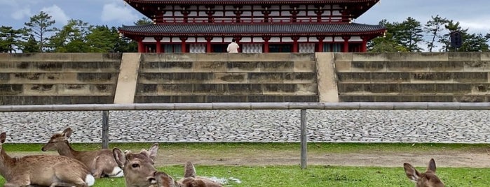 Nara is one of Japan Trip.