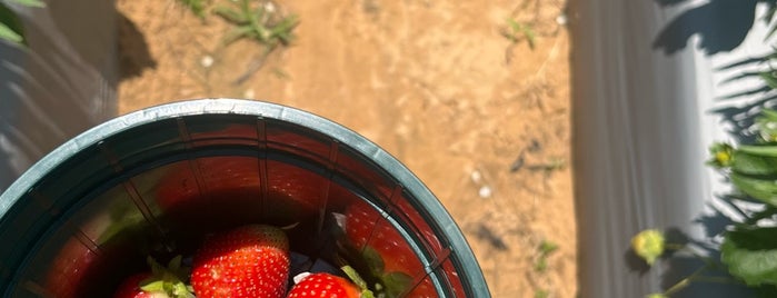 Polkadraai Strawberry Farm is one of Südafrika.