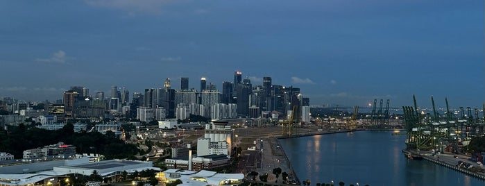 Skyline Sentosa Luge is one of 싱가폴.