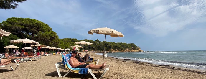 Playa Es Niu Blau is one of Ibiza recs.