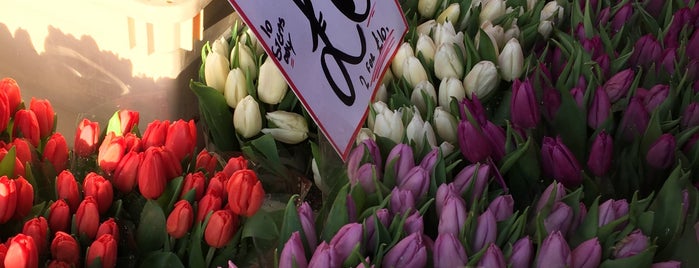 Columbia Road Flower Market is one of London #inspiredby Lufthansa.