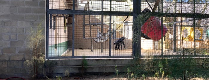 Suncoast Primate Sanctuary is one of Kinga.