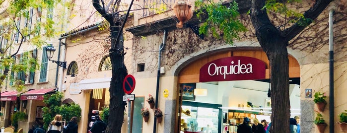 Orquidea is one of Spain.