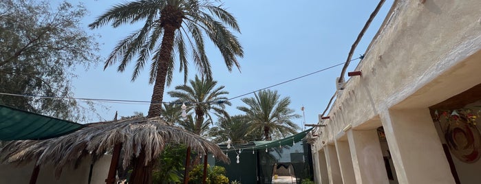 Bandar Siraf | بندر سیراف is one of Bushehr.