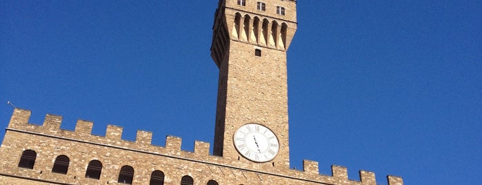 Piazza della Signoria is one of Firenze.