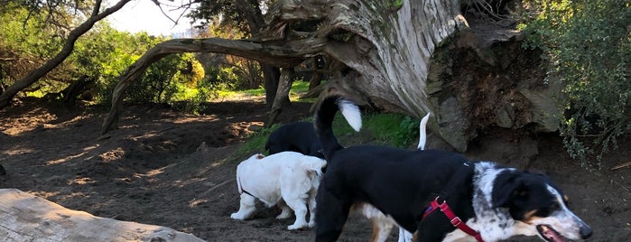 Mountain Lake Dog Park is one of The 15 Best Dog Parks in San Francisco.