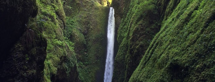 Oneonta Gorge is one of america the beautiful.