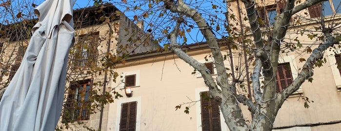 Cafè l'Illa is one of Palma.