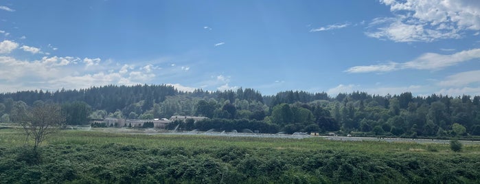 Sammamish River Trail is one of Tempat yang Disukai Melinda.