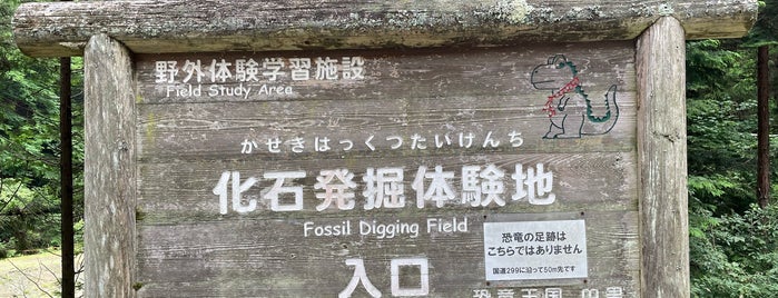 恐竜化石発掘体験場 is one of ランドヌ東京.