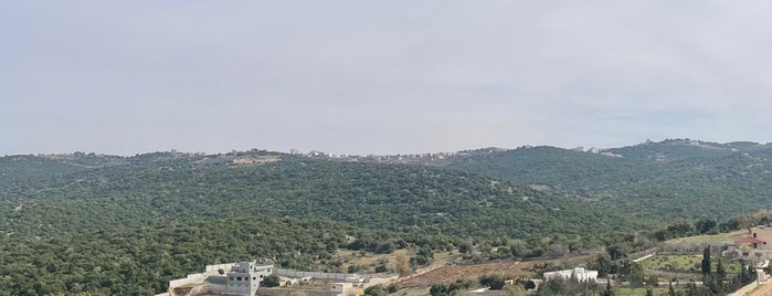 Ajloun Reserve is one of Northern Region.