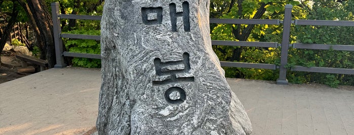 청계산 매봉 is one of Gangnam.
