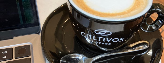 Cultivos is one of Cafe downtown.
