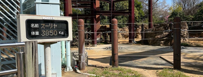 Elephant Forest is one of 東京.