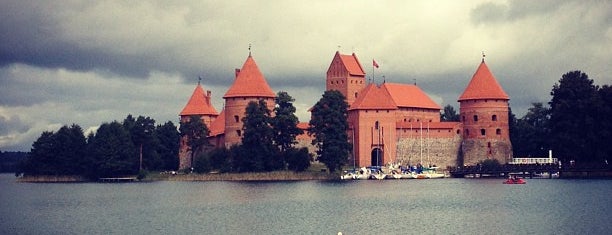 Тракайский замок is one of World Castle List.